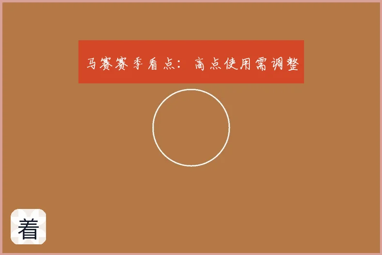 马赛赛季看点:高点使用需调整